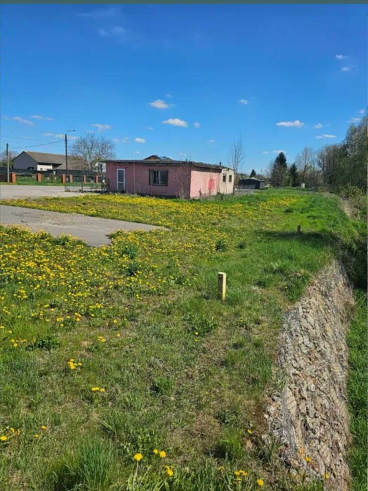 Działka budowlana Wyszmontów. Zdjęcie 3