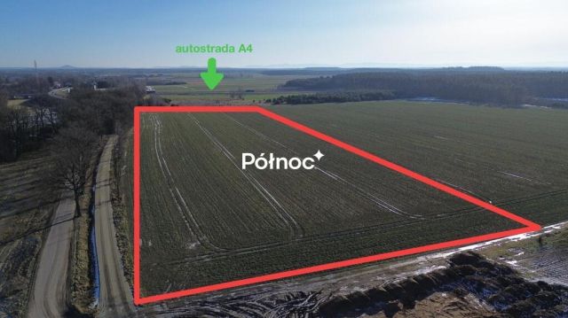 Działka inwestycyjna Dąbrowa Bolesławiecka. Zdjęcie 3