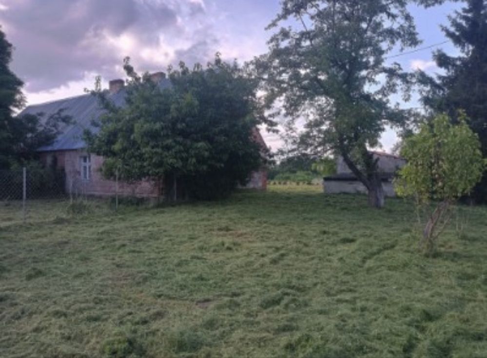 Działka siedliskowa Żalno. Zdjęcie 2