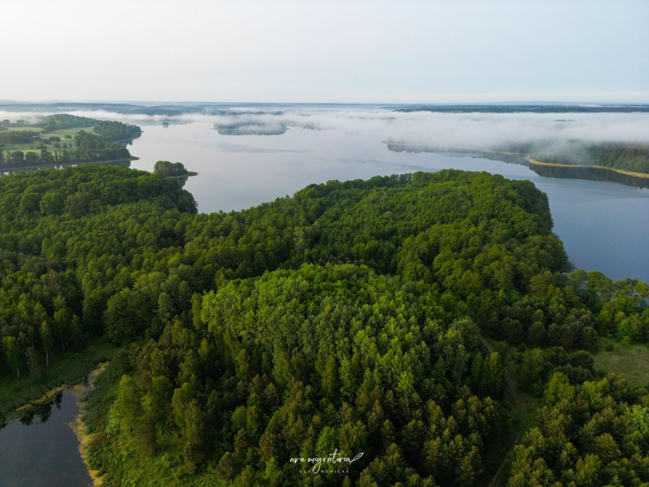 Działka budowlana Kozia Góra. Zdjęcie 2