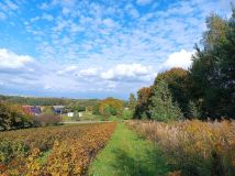 Działka Lipsko-Polesie. Zdjęcie 3