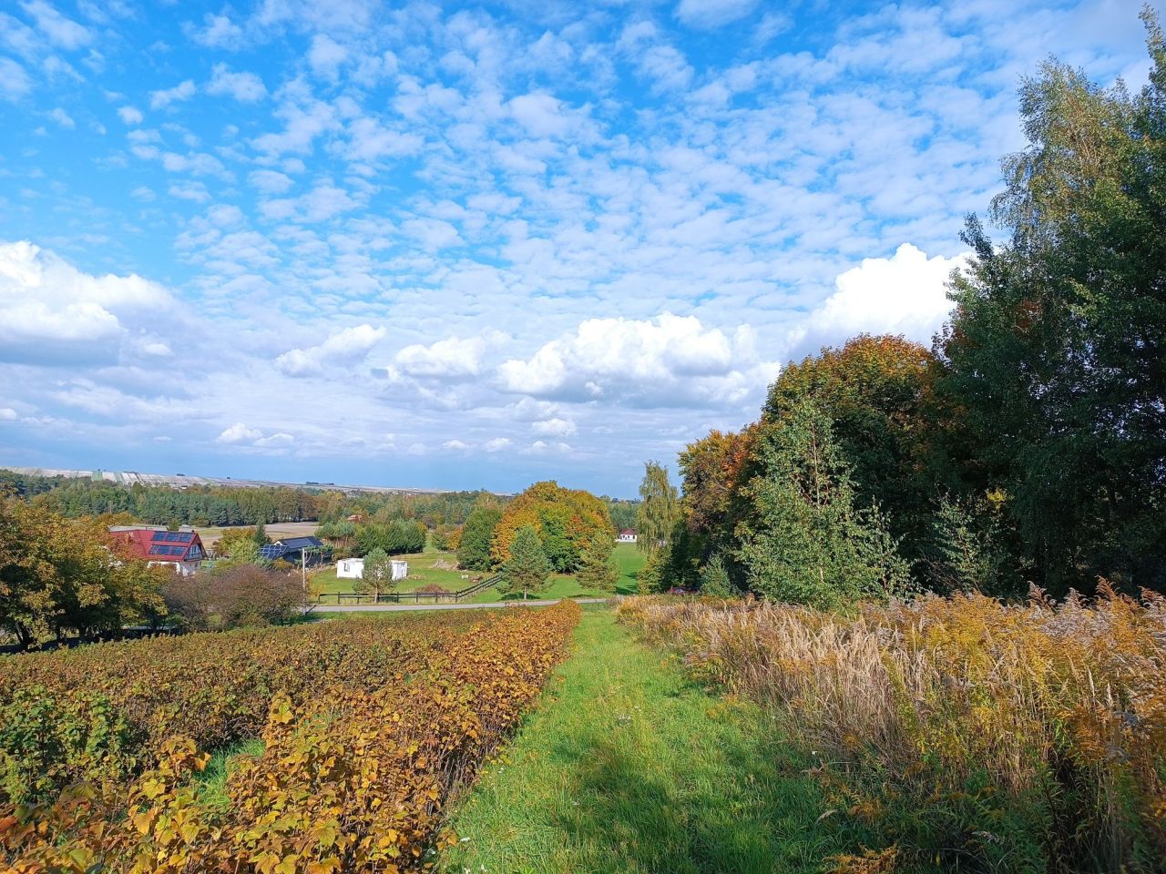 Działka Lipsko-Polesie. Zdjęcie 4