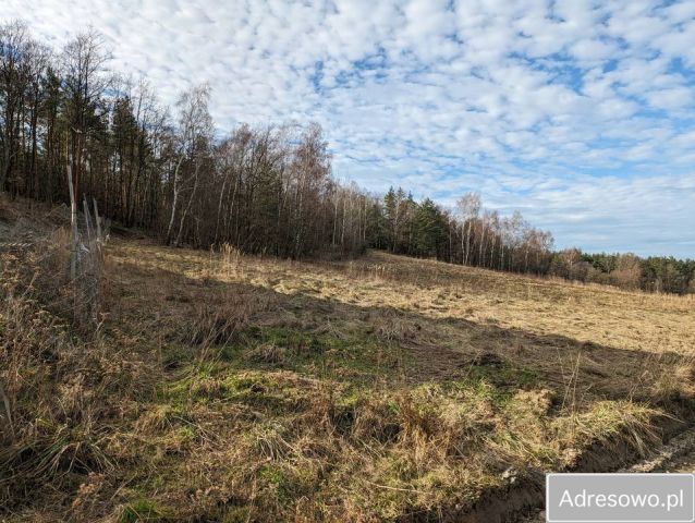 Działka budowlana Okmiany. Zdjęcie 1