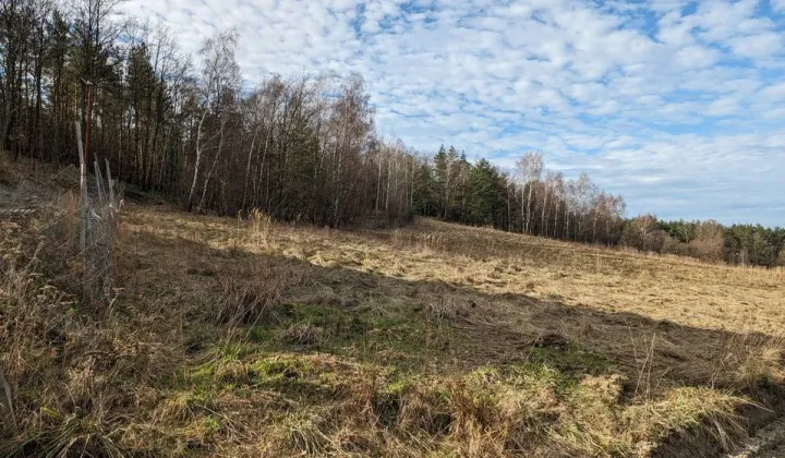 Działka budowlana Okmiany