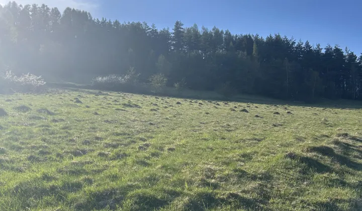 Działka rekreacyjna Kluszkowce, Za Wdżar