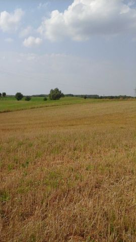 Działka rolna Orzechowo. Zdjęcie 1