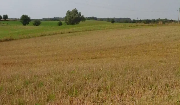 Działka rolna Orzechowo