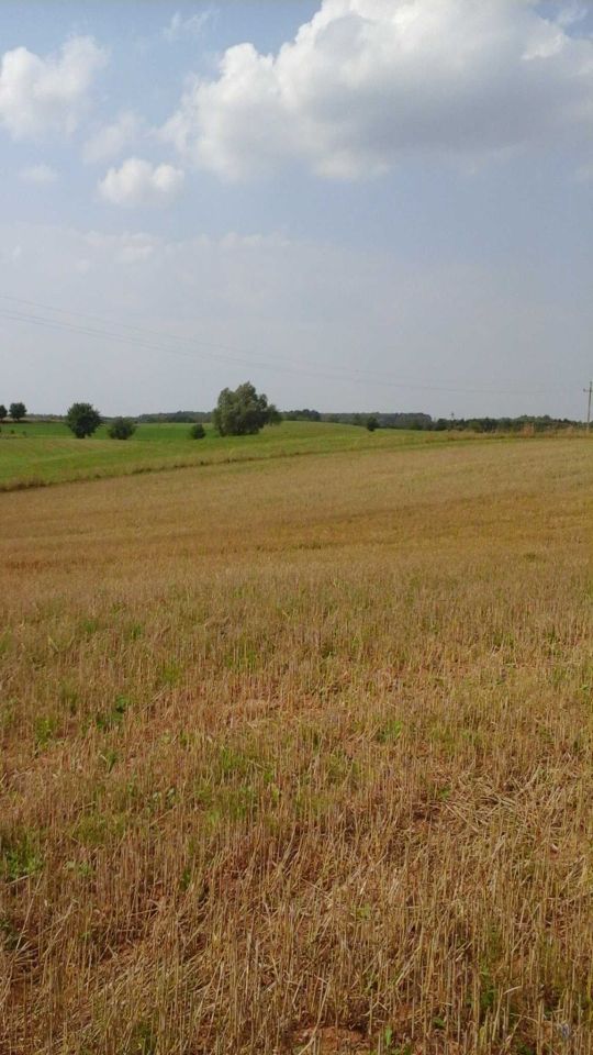 Działka rolna Orzechowo. Zdjęcie 1
