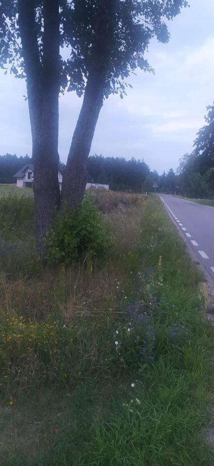 Działka budowlana Ruda Maciejowska. Zdjęcie 2