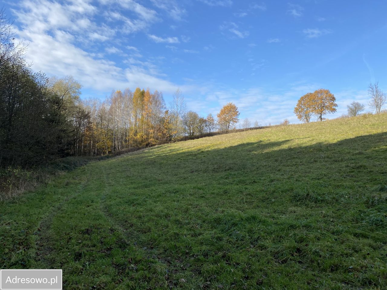 Działka rolno-budowlana Faściszowa. Zdjęcie 11