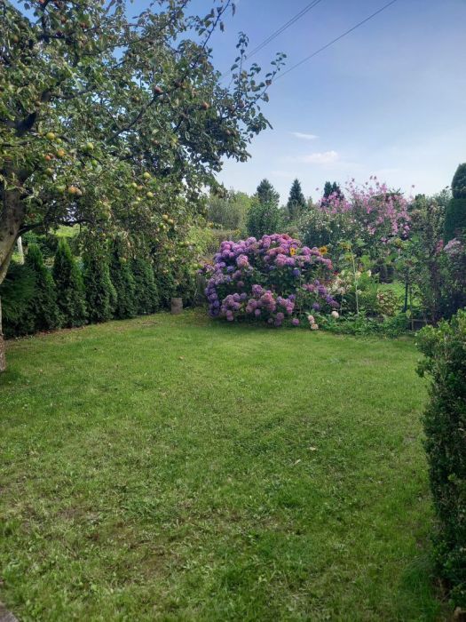 Działka rod Gdynia Babie Doły. Zdjęcie 10