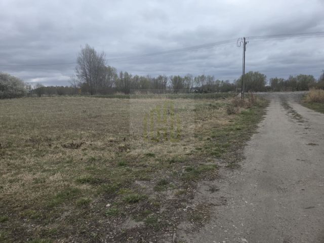 Działka inwestycyjna Kopiska. Zdjęcie 10