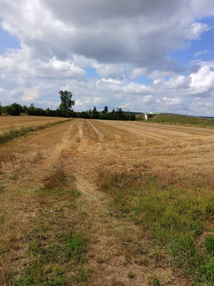 Działka budowlana Chruszczewo, ul. Bukowa. Zdjęcie 7