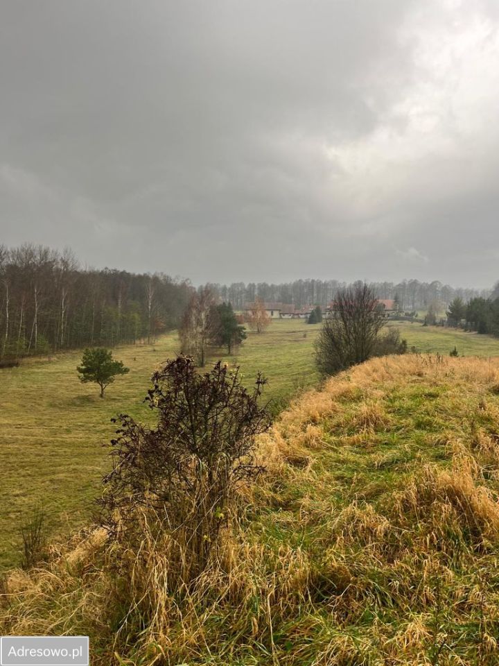 Działka inwestycyjna Stręgiel. Zdjęcie 3
