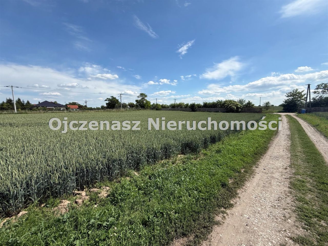 Działka budowlana Sicienko. Zdjęcie 3
