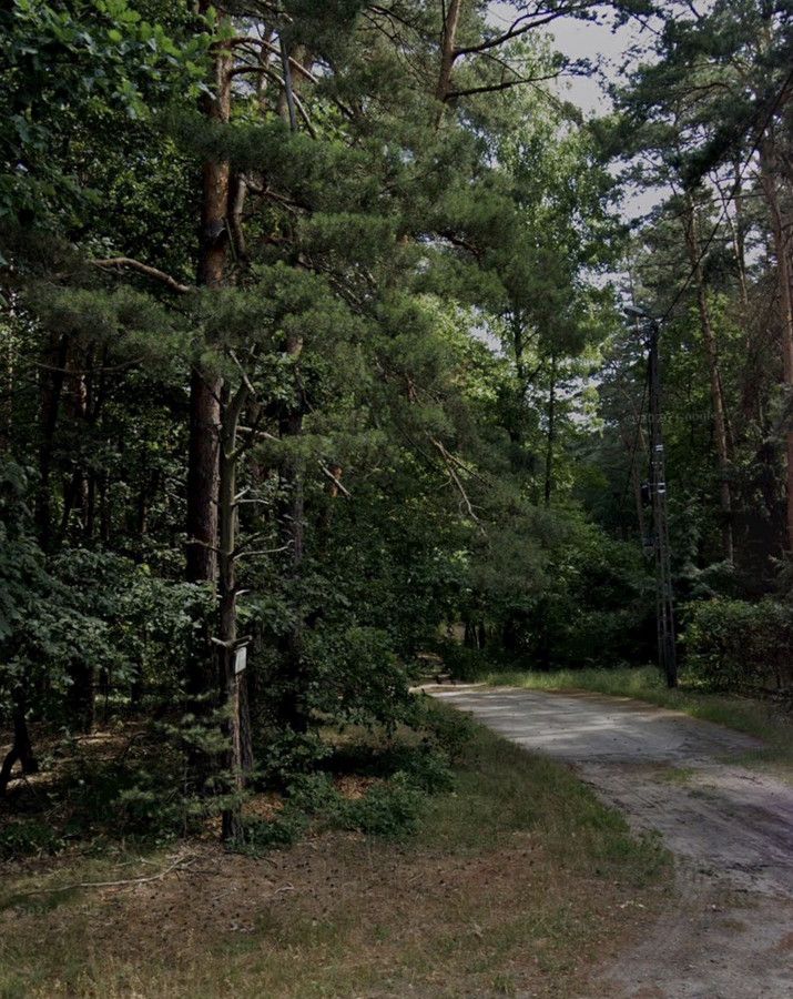 Działka budowlana Sokolniki-Las, ul. Władysława Orkana. Zdjęcie 4