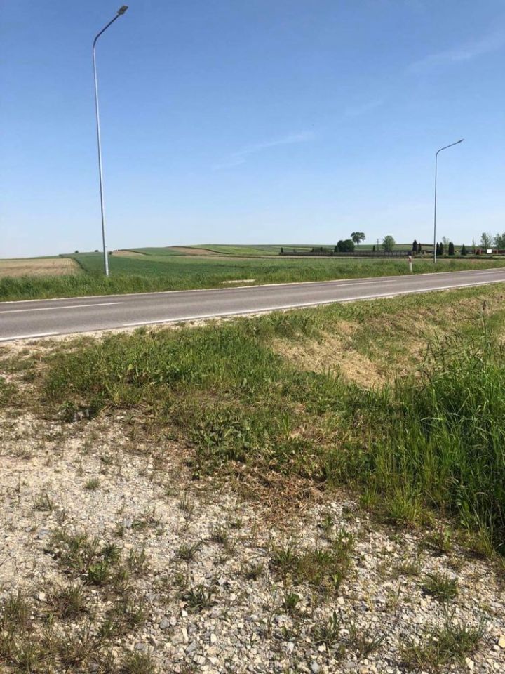 Działka rolno-budowlana Sarbice Pierwsze. Zdjęcie 3