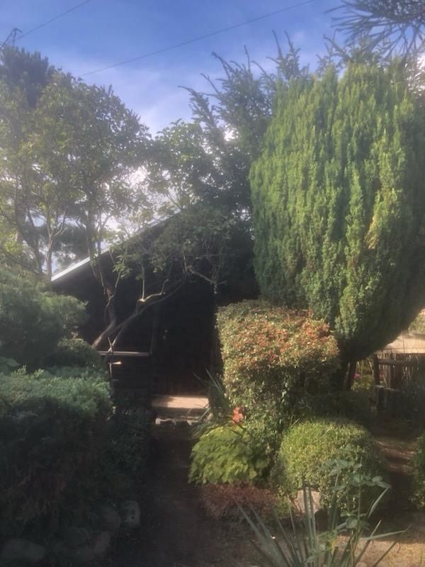 Działka rod Wałbrzych Podzamcze. Zdjęcie 6