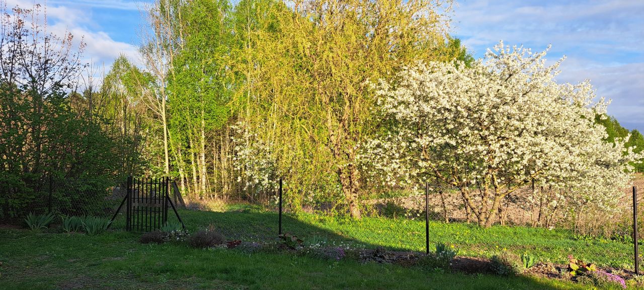 Mieszkanie 4-pokojowe Szwaruny. Zdjęcie 17