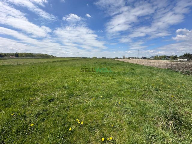 dom wolnostojący, 5 pokoi Łódź Górna, ul. Bronisin. Zdjęcie 24