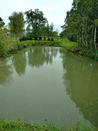 Działka rolno-budowlana Krzyżewo. Zdjęcie 2