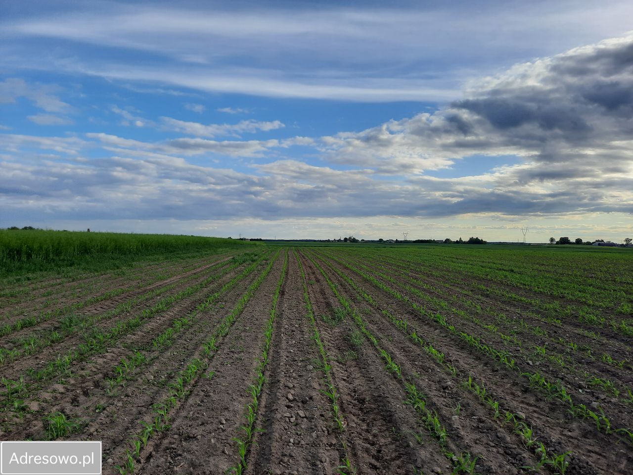 Działka budowlana Papowo Toruńskie Drążkowo, ul. Brzozowa. Zdjęcie 9