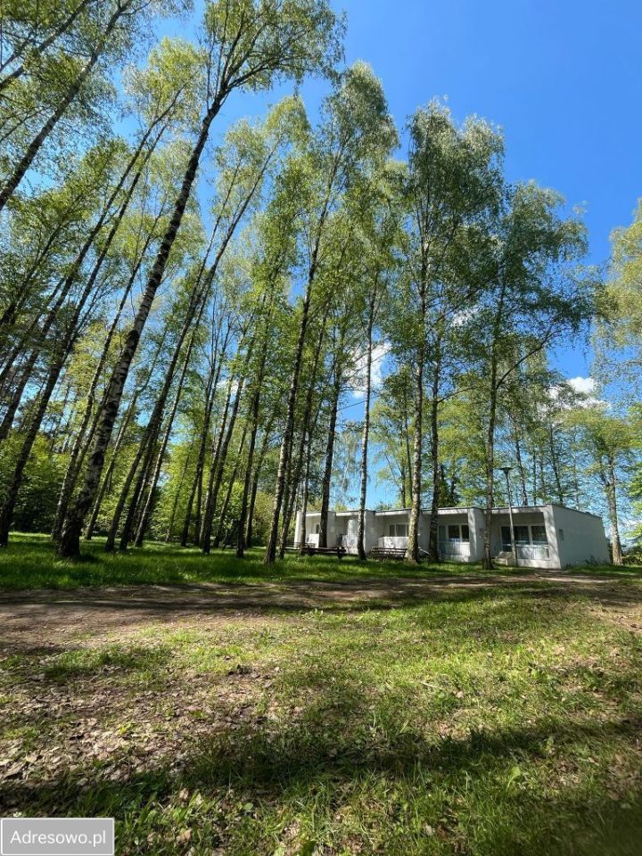 Nieruchomość komercyjna Mikorzyn. Zdjęcie 6