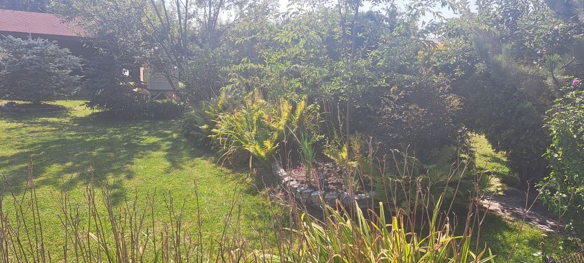 Działka rod Kępno, ul. Sportowa. Zdjęcie 7