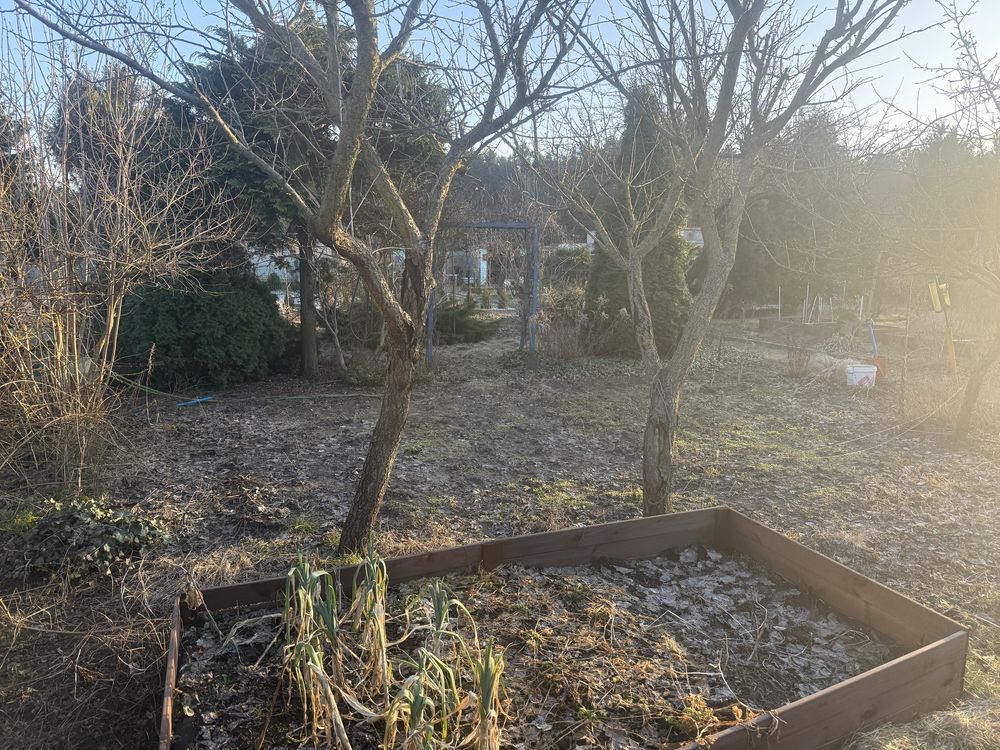 Działka rod Leszno. Zdjęcie 2