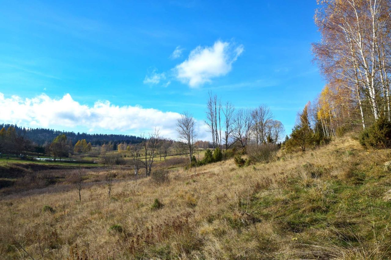 Działka rolno-budowlana Lipie. Zdjęcie 5