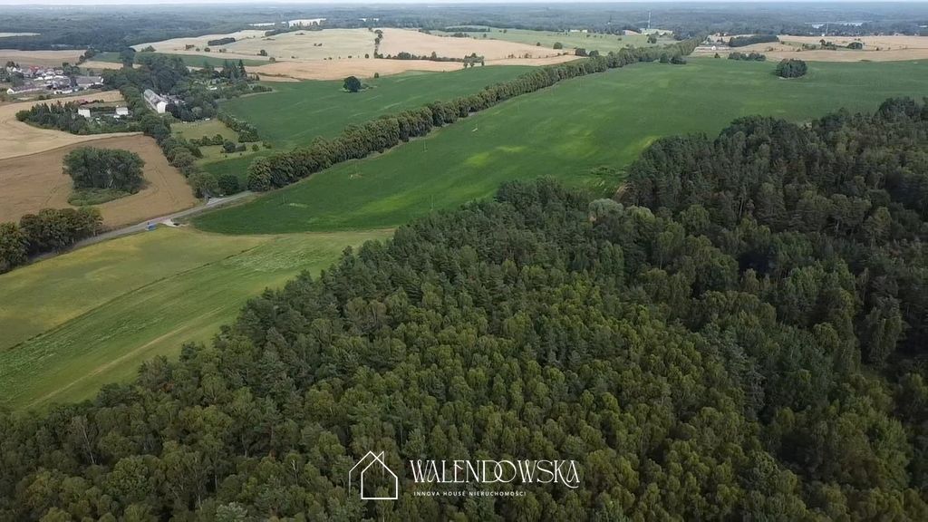 Działka leśna Pasieka. Zdjęcie 5