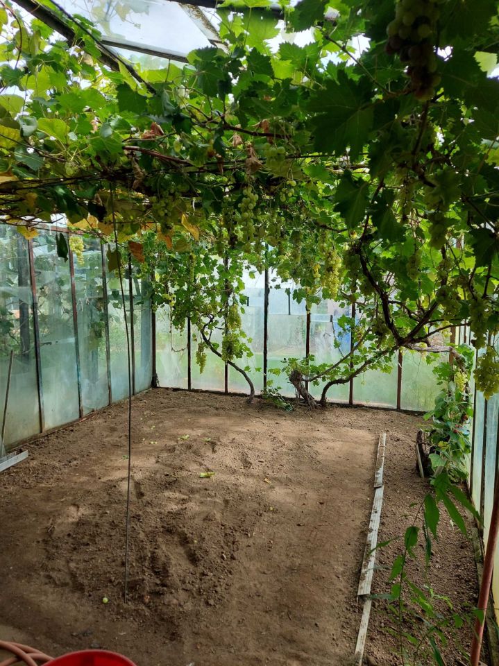 Działka rod Niekłonice. Zdjęcie 4