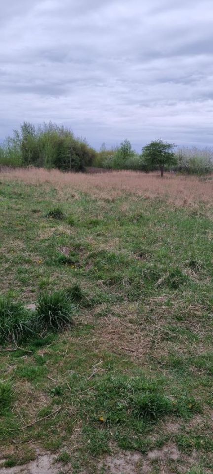 Działka budowlana Kręczki. Zdjęcie 3