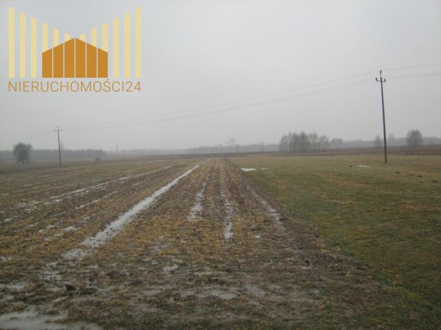 Działka rolna Kołbiel. Zdjęcie 3