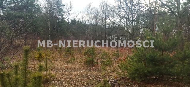 Działka budowlana Zakręt. Zdjęcie 5