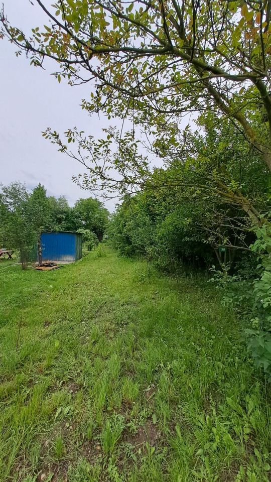 Działka rod Ciechanów. Zdjęcie 7