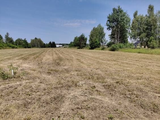 Działka budowlana Zabieżki. Zdjęcie 2