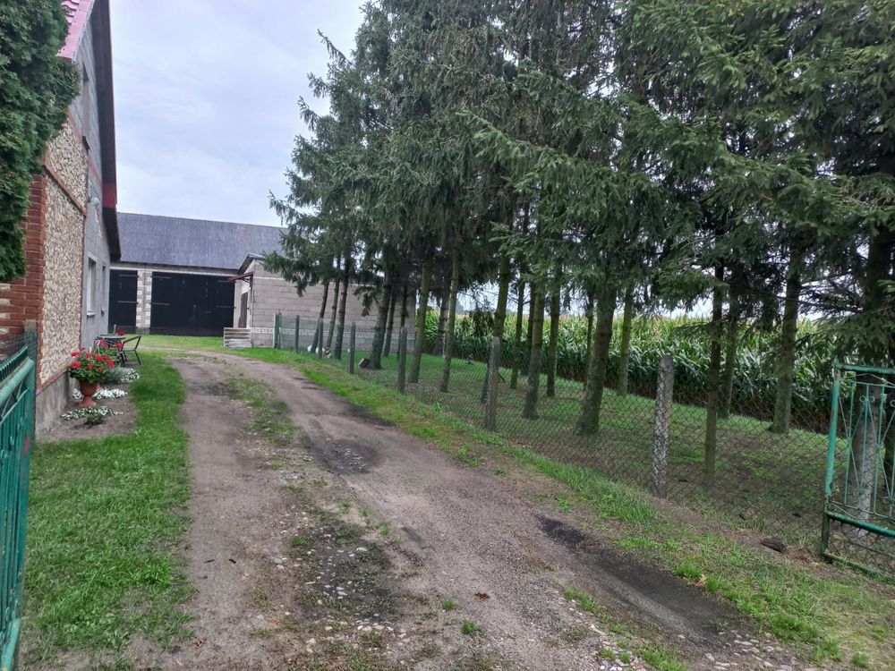 Zdjęcie 5