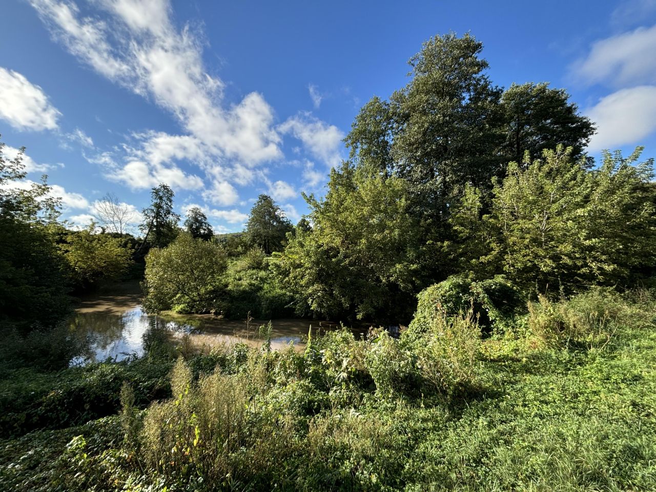 Działka rolna Nietulisko Duże. Zdjęcie 9