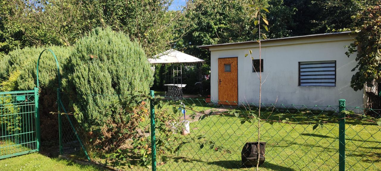 Działka rod Gliwice Śródmieście, ul. Stanisława Wyspiańskiego. Zdjęcie 2