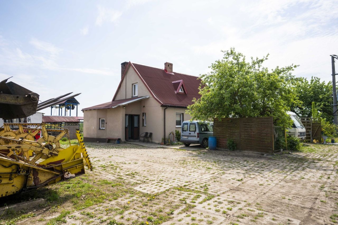 gospodarstwo, 5 pokoi Trzcinisko. Zdjęcie 22