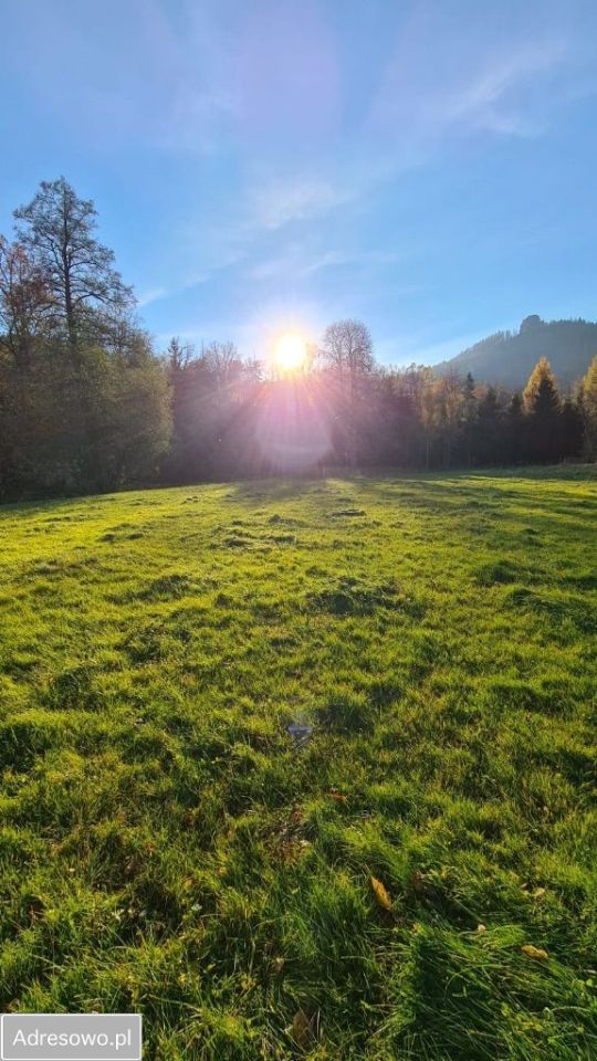 Działka budowlana Trzcińsko. Zdjęcie 4