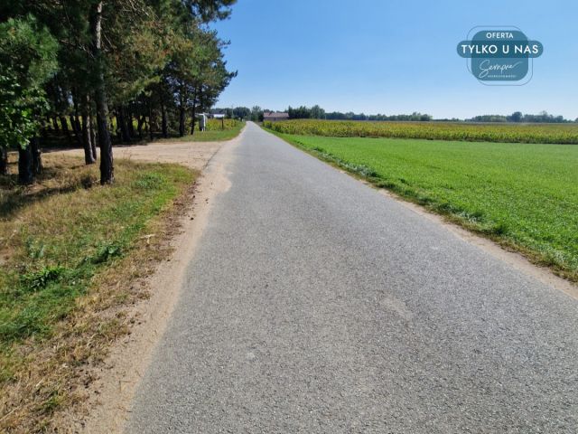 Działka inwestycyjna Krokocice. Zdjęcie 25