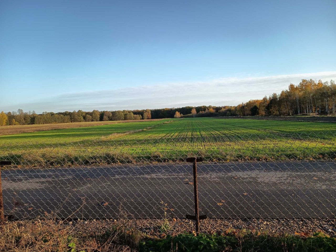 gospodarstwo Strych. Zdjęcie 3