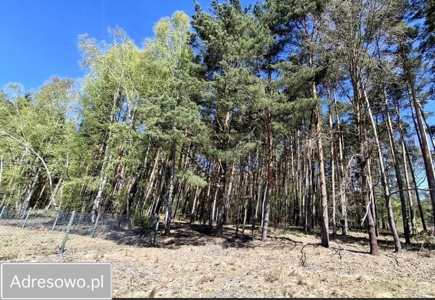 dom wolnostojący, 3 pokoje Drogoszowice. Zdjęcie 5