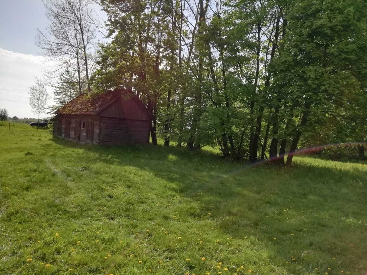 Działka siedliskowa Lubień. Zdjęcie 8