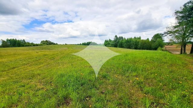 Działka budowlana Dąbrówka Wielka. Zdjęcie 6