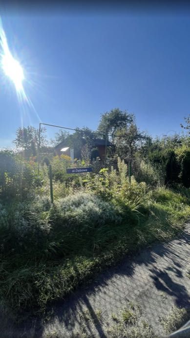 Działka rod Gdynia. Zdjęcie 5