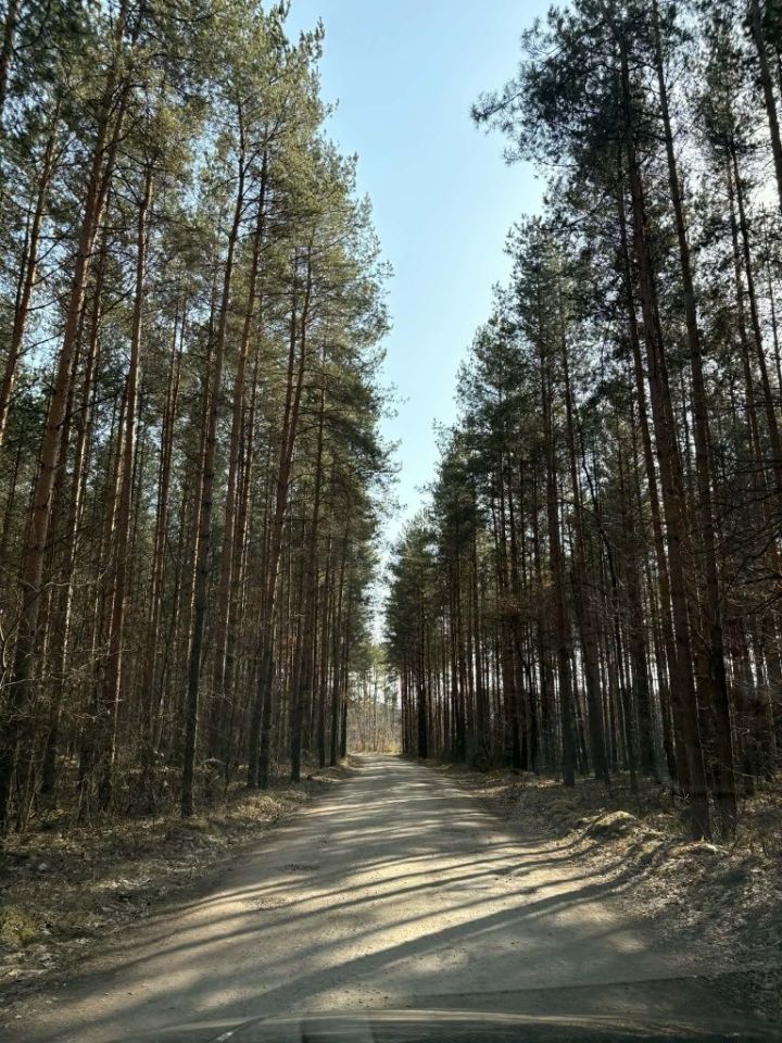 Działka rolno-budowlana Chruślanki Mazanowskie. Zdjęcie 6