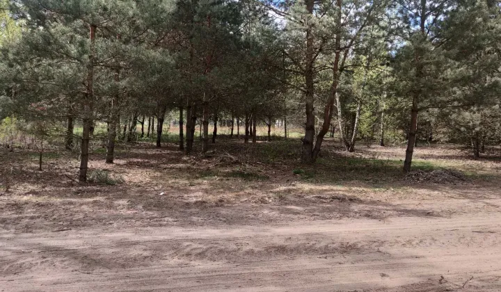 Działka budowlana Makówka, ul. Chmielna